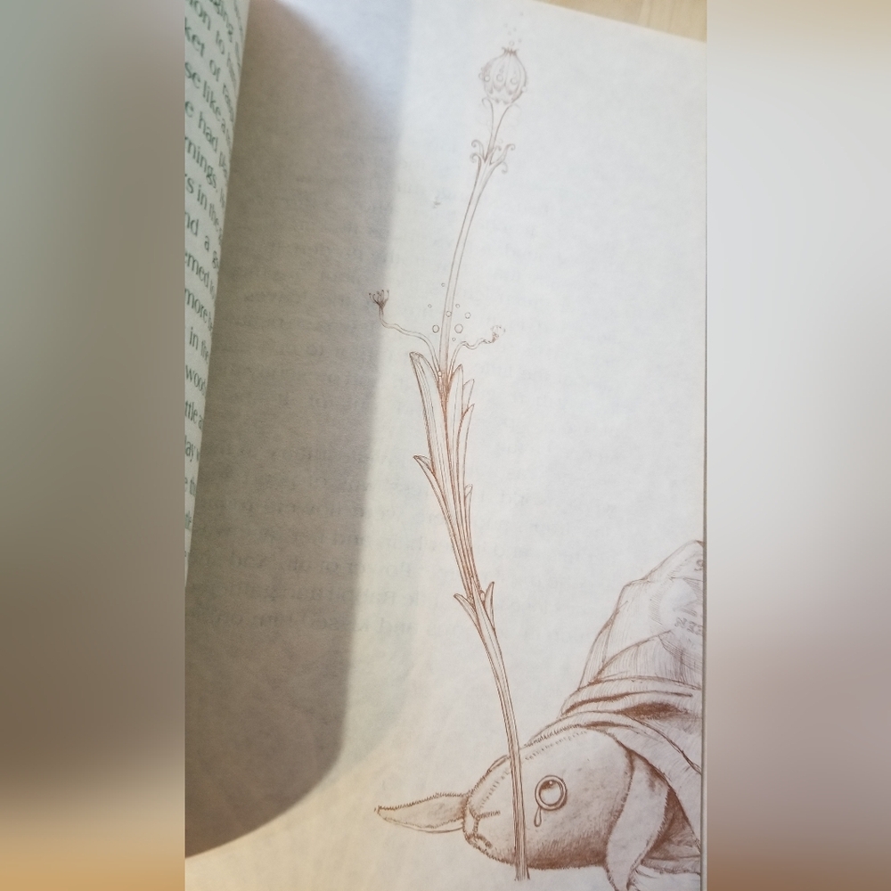 The Velveteen Rabbit Book - Picture 5 of 6
